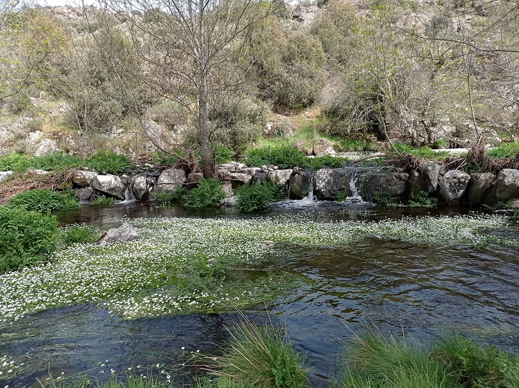 Ruta de los Molinos de Fariza