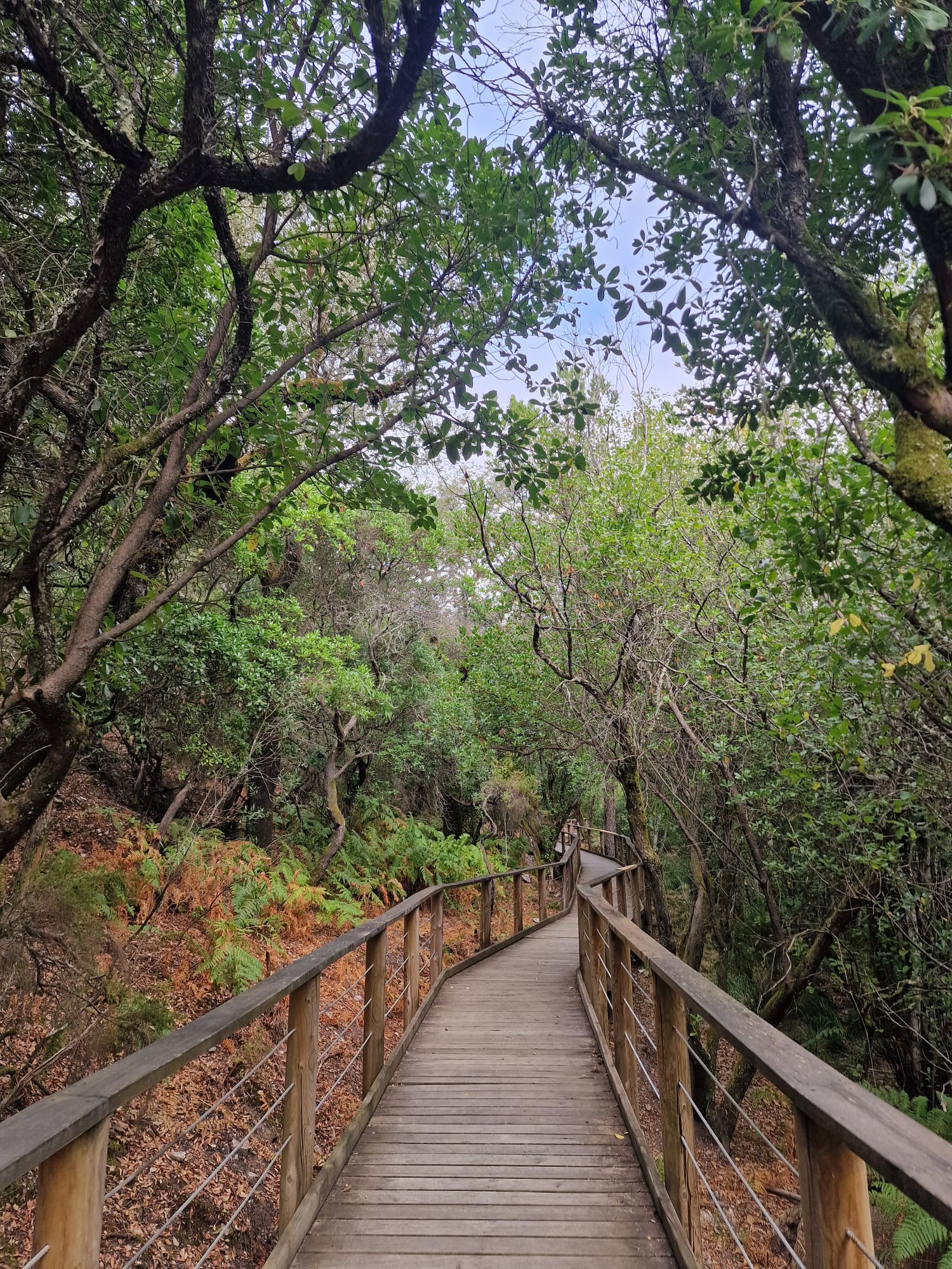 Ruta de Las Pozas de las Batuecas