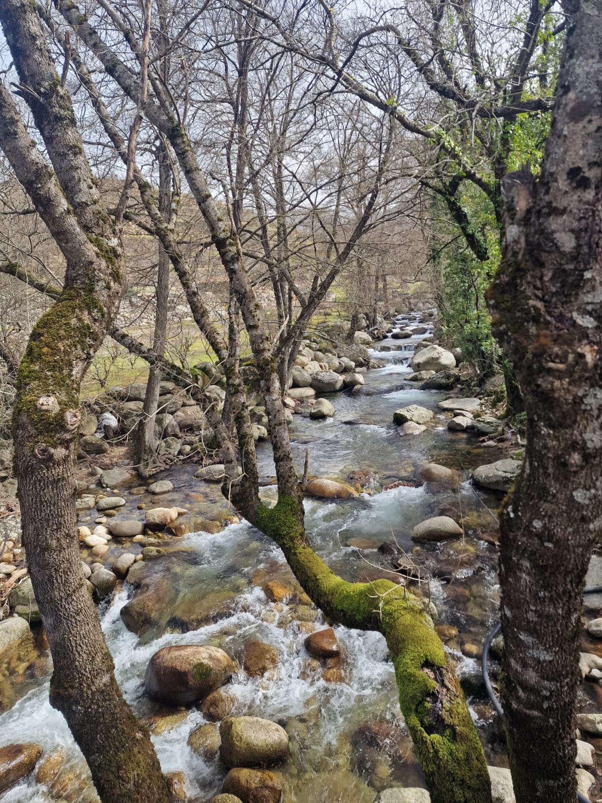 Ruta Ruinas de Santa María en Tornavacas